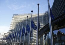 Evropska unija kritikuje najavljeni susret Vulina i Putina evropska-unija-kritikuje-najavljeni-susret-vulina-i-putina