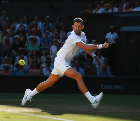Novak Đoković među suvlasnicima fudbalskog kluba Le Man novak-djokovic-medju-suvlasnicima-fudbalskog-kluba-le-man