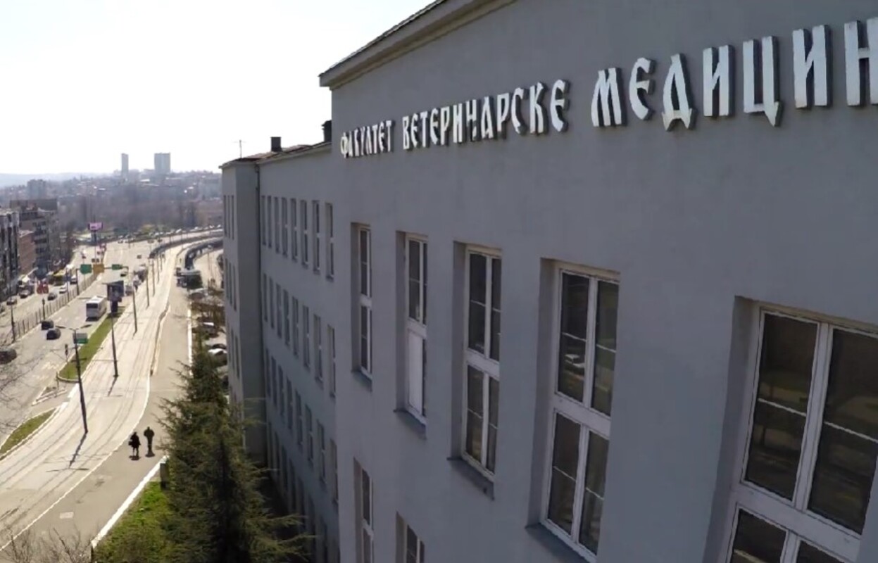 nastavak-blokade-na-veterinarskom-fakultetu:-studenti-ne-odustaju-uprkos-pozivu-dekanata-na-nastavu nastavak-blokade-na-veterinarskom-fakultetu:-studenti-ne-odustaju-uprkos-pozivu-dekanata-na-nastavu