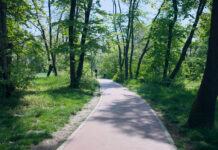 Trim staza na Košutnjaku dobija novi izgled i još bolje uslove za vežbanje trim-staza-na-kosutnjaku-dobija-novi-izgled-i-jos-bolje-uslove-za-vezbanje