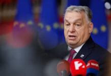 Tajkun blizak Orbanu ponudio besplatno državi svoje medijske firme tajkun-blizak-orbanu-ponudio-besplatno-drzavi-svoje-medijske-firme