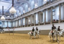 Milionska pljačka u Austriji: Godinama izvlačili novac iz slavne institucije milionska-pljacka-u-austriji:-godinama-izvlacili-novac-iz-slavne-institucije