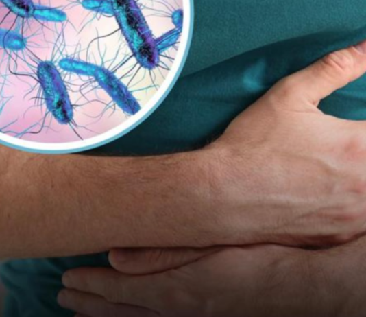 Šestoro zaraženih u Austriji: Epidemija salmonele zahvatila Evropu sestoro-zarazenih-u-austriji:-epidemija-salmonele-zahvatila-evropu