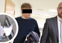 Bivši vojnik u Beču pucao na ptice se balkona: Umesto na glinene golubove, pucao na žive bivsi-vojnik-u-becu-pucao-na-ptice-se-balkona:-umesto-na-glinene-golubove,-pucao-na-zive