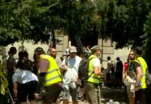 Studenti iz Kragujevca krenuli u šetnju do Kraljeva na vidovdanski protest studenti-iz-kragujevca-krenuli-u-setnju-do-kraljeva-na-vidovdanski-protest