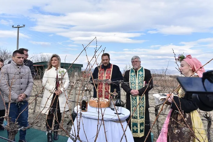 tradicionalno-orezivanje-vinograda-„tikves“-za-sv.-trifuna-u-znaku-nove-progresivne-prakse-vinarije tradicionalno-orezivanje-vinograda-„tikves“-za-sv.-trifuna-u-znaku-nove-progresivne-prakse-vinarije