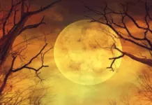 Mesec je ušao u Bika! 3 horoskopska znaka neka se spreme za pozitivne promene mesec-je-usao-u-bika!-3-horoskopska-znaka-neka-se-spreme-za-pozitivne-promene