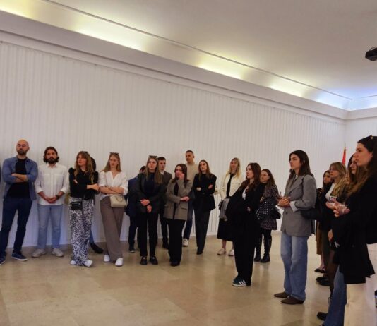 U Rimu u Ambasadi Srbije organizovan prijem za srpske studente u-rimu-u-ambasadi-srbije-organizovan-prijem-za-srpske-studente
