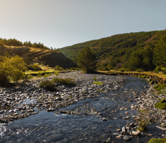 Bernska konvencija potvrdila da novosadska vlast nije poštovala zakon i ekološke norme bernska-konvencija-potvrdila-da-novosadska-vlast-nije-postovala-zakon-i-ekoloske-norme