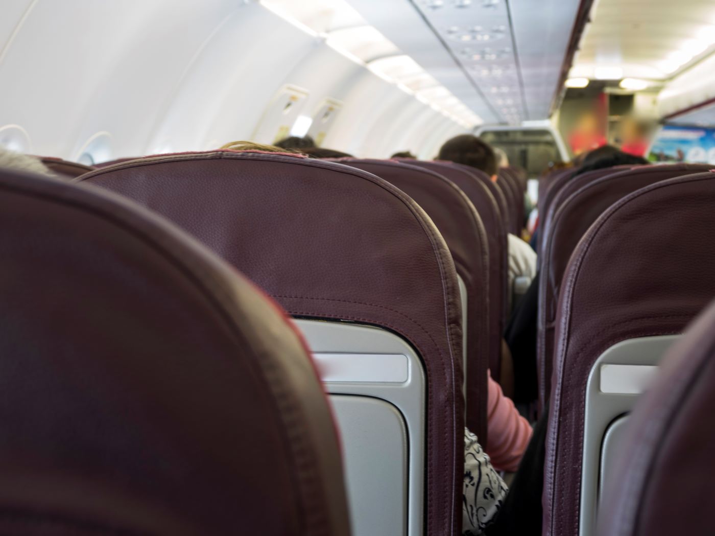 psovao-na-srpskom,-pa-spasio-dan:-makedonac-savladao-teroristu-u-avionu-(video) psovao-na-srpskom,-pa-spasio-dan:-makedonac-savladao-teroristu-u-avionu-(video)