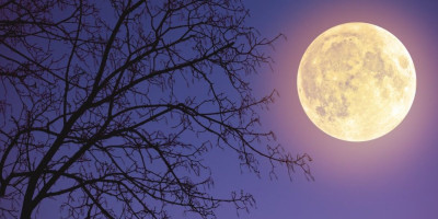 dnevni-horoskop-za-subotu-14.-februar:-rakovima-uspeh-na-poslu,-strelcevi-ostavljaju-proslost-iza-sebe dnevni-horoskop-za-subotu-14.-februar:-rakovima-uspeh-na-poslu,-strelcevi-ostavljaju-proslost-iza-sebe