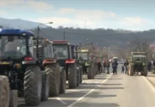 Poljoprivrednik posle sastanka sa ministrom: „Možda će u Beograd po prvi put doći traktori iz cele Srbije“ poljoprivrednik-posle-sastanka-sa-ministrom:-„mozda-ce-u-beograd-po-prvi-put-doci-traktori-iz-cele-srbije“
