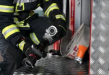 Veliki požar zahvatio nisko rastinje između Beočina i Rakovca veliki-pozar-zahvatio-nisko-rastinje-izmedju-beocina-i-rakovca