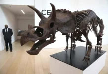 Skeleti dinosaurusa se prodaju za milione. Istraživači se plaše da nauka propušta nešto novo skeleti-dinosaurusa-se-prodaju-za-milione.-istrazivaci-se-plase-da-nauka-propusta-nesto-novo