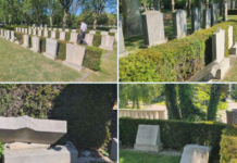 Vandali oskrnavili spomenike sovjetskim vojnicima u Beču uoči Dana pobede vandali-oskrnavili-spomenike-sovjetskim-vojnicima-u-becu-uoci-dana-pobede