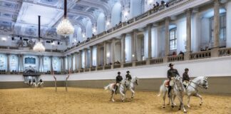 Milionska pljačka u Austriji: Godinama izvlačili novac iz slavne institucije milionska-pljacka-u-austriji:-godinama-izvlacili-novac-iz-slavne-institucije
