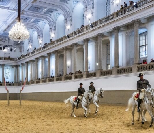 Milionska pljačka u Austriji: Godinama izvlačili novac iz slavne institucije milionska-pljacka-u-austriji:-godinama-izvlacili-novac-iz-slavne-institucije