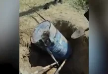 VJT potvrdilo: Telo nađeno u buretu u Inđiji jeste Nešović, pokazala DNK analiza vjt-potvrdilo:-telo-nadjeno-u-buretu-u-indjiji-jeste-nesovic,-pokazala-dnk-analiza