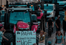 Protest poljoprivrednika u Beču: Traktori blokirali deo centra grada protest-poljoprivrednika-u-becu:-traktori-blokirali-deo-centra-grada