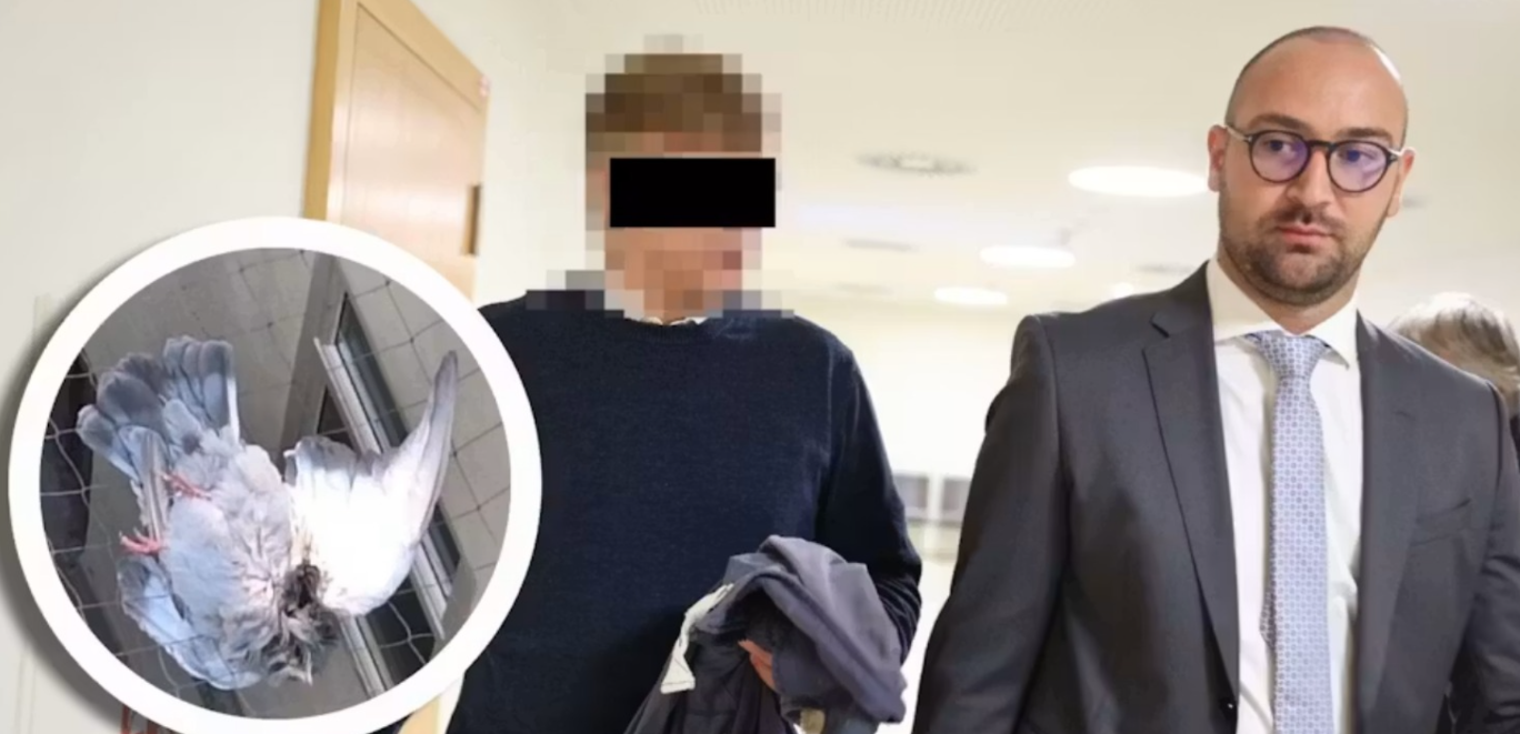 bivsi-vojnik-u-becu-pucao-na-ptice-se-balkona:-umesto-na-glinene-golubove,-pucao-na-zive