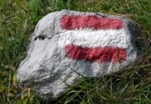 Austrija odobrila izvoz oružja u milijardama evra: Amerika i Izrael glavni kupci austrija-odobrila-izvoz-oruzja-u-milijardama-evra:-amerika-i-izrael-glavni-kupci